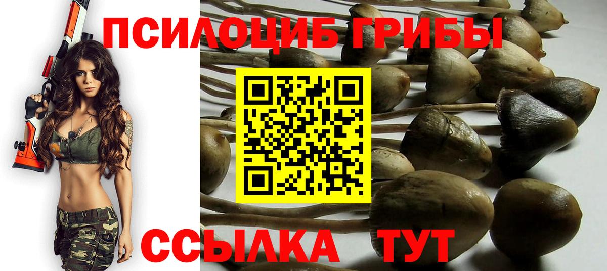 Псилоцибиновые грибы Cubensis Клин