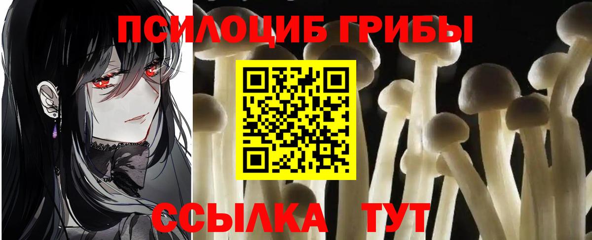Псилоцибиновые грибы прущие грибы  Вход с VPN  Клин 